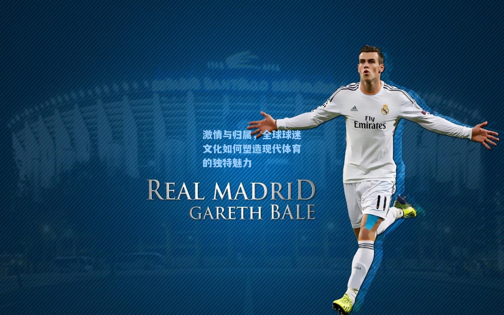 激情与归属,全球球迷文化如何塑造现代体育的独特魅力